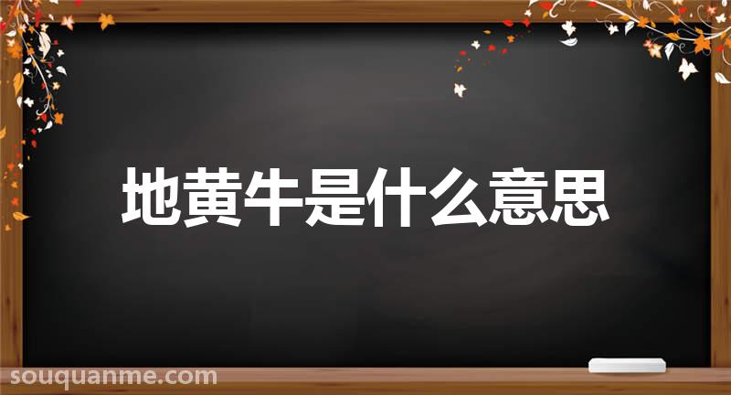 地黄牛是什么意思 地黄牛的读音拼音 地黄牛的词语解释